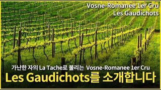 Engsub Vosne Romanee 1er Cru Les Gaudichots [upl. by Frazier]