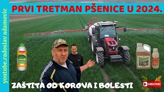 PRVI TRETMAN PŠENICE U 2024 ZAŠTITA OD KOROVA I BOLESTI  FIRST WHEAT TREATMENT IN 2024 [upl. by Yerffe579]