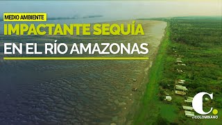 Impresionantes imágenes de la sequía en el río Amazonas  El Colombiano [upl. by Rodney]