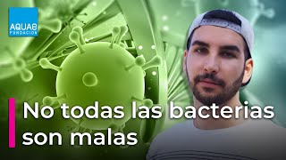 No todas las BACTERIAS son malas  BIORREMEDIACIÓN del agua con DARÍO GARCÍA BiotecX  Campus [upl. by Misak141]