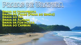 Praia Brava Ubatuba você sabia que são 6 das Praias de Ubatuba recebem o nome de quotBravaquot [upl. by Fleurette528]