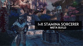 1vX Stamina Sorcerer  Solo Build [upl. by Regdor]