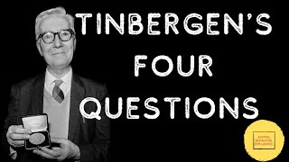 Tinbergens Four Questions [upl. by Jennings102]