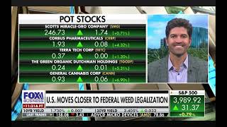 KushCo CEO Nick Kovacevich On Fox Business Discusses NY Legalization and Greenlane  KushCo Merger [upl. by Patten13]