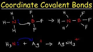 What is a Coordinate Covalent Bond [upl. by Wurtz992]