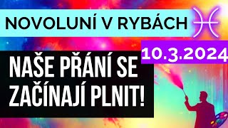 Novoluní v Rybách 10324  horoskop dle astrologie hlas Ondřej Brož tipy pro osobní rozvoj [upl. by Orihakat847]