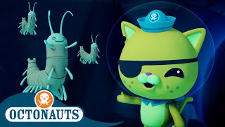 Octonauts  ✨ The Remipedes ⛰️  Season 1  Full Episodes  Cartoons for Kids [upl. by Suzette423]