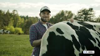 Information about Holstein Friesian Cow  Documentary [upl. by Benia690]