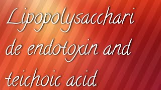 Lipopolysaccharide LPS  endotoxin and teichoic acid [upl. by Yrekaz999]