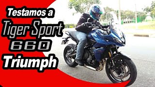 Testamos a Tiger Sport 660 Triumph uma moto que surpreende [upl. by Aiceled]