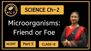 Class 8  Science  Chapter 2  Microorganisms Friend or Foe  NCERT  Part 5 [upl. by Atilem651]