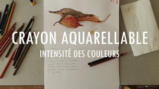 Crayon aquarellable  possibilités infinies amp intensité des couleurs [upl. by Acinomal]