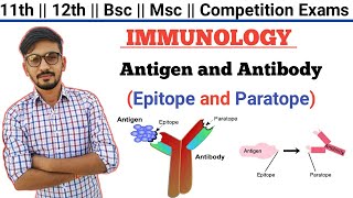 Antigen And Antibody In Hindi  Epitope And Paratope In Hindi  IMMUNOLOGY  By Dadhich Sir [upl. by Eben]