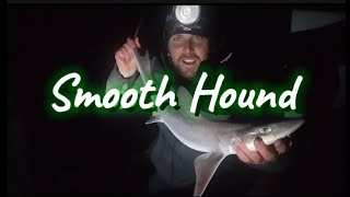 UK Sea Fishing  Smooth Hound  Anglesey  North Wales [upl. by Savdeep]