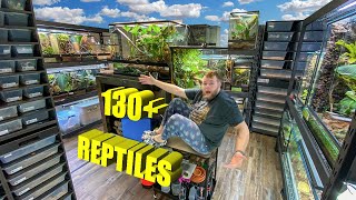 REPTILE ROOM TOUR NOVEMBER 2023 130 Reptiles [upl. by Rosanne133]