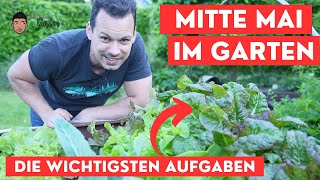 Gartenarbeiten Mitte Mai  Auspflanzen Ernten Hochbeet Gemüse und Blumenbeete [upl. by Ellierim]