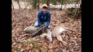 Hornady American Whitetail ammo review part 2 and RANT [upl. by Ynohtnaed]