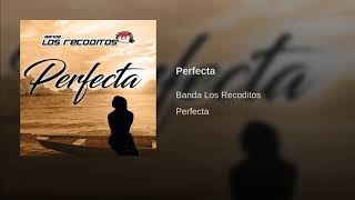 Banda Los Recoditos Perfecta [upl. by Eillom]