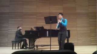 Sonata in C minor for Oboe and Continuo RV 53  Antonio Vivaldi [upl. by Ahsinirt]