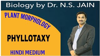 Phyllotaxy Plant Morphology  Hindi Medium [upl. by Annol]