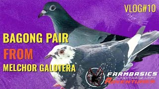 BAGONG PAIR FROM SIR MELCHOR GALOTERA VLOG NO10 [upl. by Asim755]