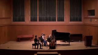 smetana piano trio in g minor op15 1st movement 201903 [upl. by Atsylac]