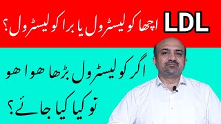 What Is LDL   How To Manage High Cholesterol [upl. by Gustie173]