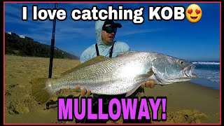 FINDING KOBMULLOWAY SEARCHING for EDIBLE FISH EXPLORING new fishing grounds Bait demo ZLF [upl. by Levania547]