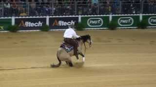 HF Mobster Individual Run at the 2014 World Equestrian Games in Normandy France [upl. by Ronalda]