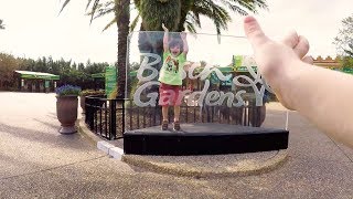 How a PreSchooler does Busch Gardens  Busch Gardens Tampa Bay [upl. by Hars]