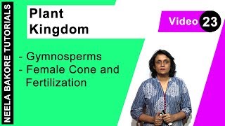 Plant Kingdom  NEET  Gymnosperms  Female Cone and Fertilization  Neela Bakore Tutorials [upl. by Stanfield]