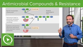 Antimicrobial Compounds amp Resistance – Microbiology  Lecturio [upl. by Fugate]