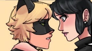 Unsee Marichat Scene FULL  Miraculous Ladybug Comic Dub [upl. by Gent]