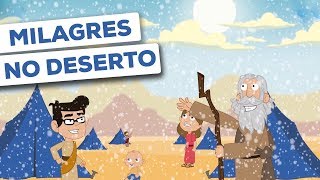 MILAGRES NO DESERTO  Peregrinação de Israel [upl. by Aihtenak]