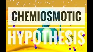 Chemiosmotic Hypothesis  ATP synthesis [upl. by Seabrook]