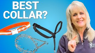 Which Collar is BEST for Your Dog Flat Collar Halti Lead Prong Collar [upl. by Anon]