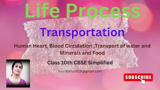 Class 10 Life ProcessTransportationHuman HeartBlood VesselsXylem and Phloem Transportation [upl. by Ablem164]