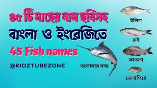 ৪৫টি মাছের নাম বাংলা ও ইংরেজিতে  Name of Fish Bangla amp English  Fish vocabulary  Fish names  Kid [upl. by Zetrauq]