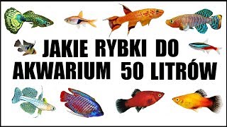 Jakie rybki akwariowe wybrać do małego akwarium 54 litry [upl. by Ailisec]