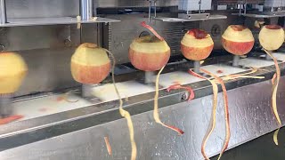 Inside Massive Apple and Juice Harvesting and Processing Factory [upl. by Etnohc]