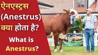 ऐनएस्ट्रस Anestrus क्या होता है  What is Anestrus [upl. by Jana598]