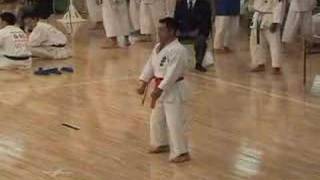 JKF Wadokai Nationals 2007 Mens Kata Champion [upl. by Annayr]