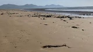 Walk around Caernarfon North Wales  Dinas Dinlle Stunning Coastal Walk for all [upl. by Notsyrb359]