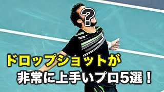 【テニス】ドロップショット好き必見！ドロップが非常に上手いトッププロ5名を厳選！【ドロップ集】 [upl. by Niven703]