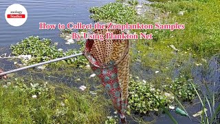 How to Collect the Zooplankton sample  With the help of Plankton net  Procedure in tamil [upl. by Bravin]