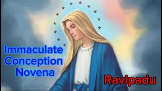 Immaculate Conception Novena at Ravipadu  2023 [upl. by Aneehsyt767]