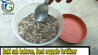 How to Use Bone Meal for Plants  How Much Bone Meal to Use  Organic fertilizer [upl. by Marian]