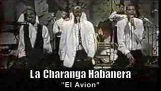 La Charanga Habanera quotEl Avionquot En Vivo [upl. by Shantee]