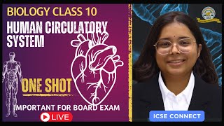 Circulatory System  BIOLOGY  CLASS 10 ICSE  FATEH ICSE CONNECT [upl. by Shull994]