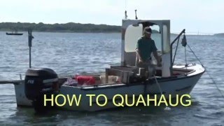 How to Quahaug How to dig for Clams [upl. by Richella445]